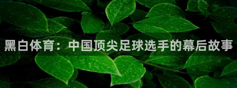 黑白体育：中国顶尖足球选手的幕后故事