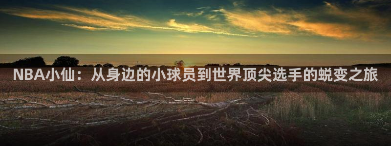 NBA小仙：从身边的小球员到世界顶尖选手的蜕变之旅